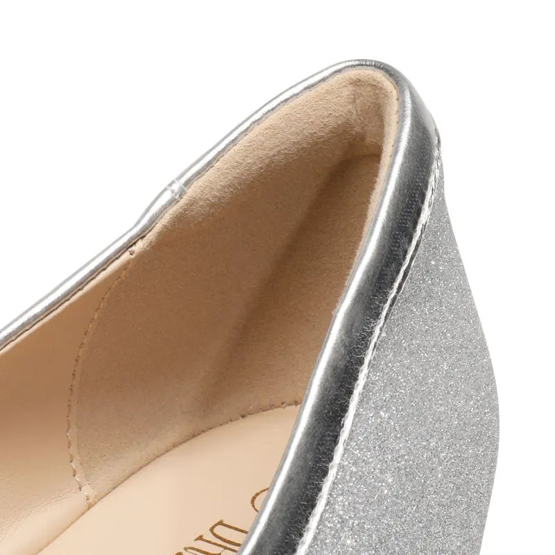 SILVER GLITTER