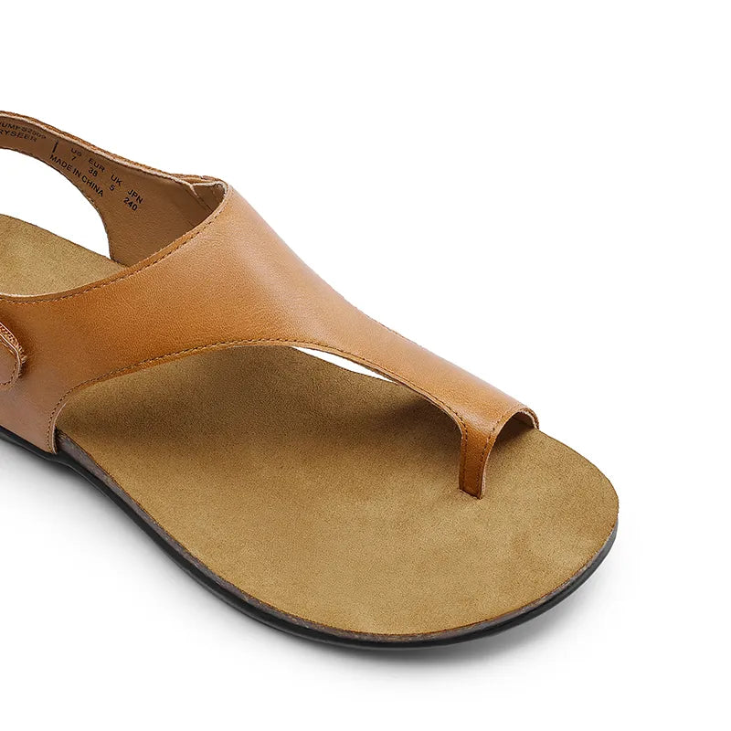 TAN